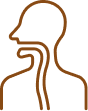 ENT & Opthalomology